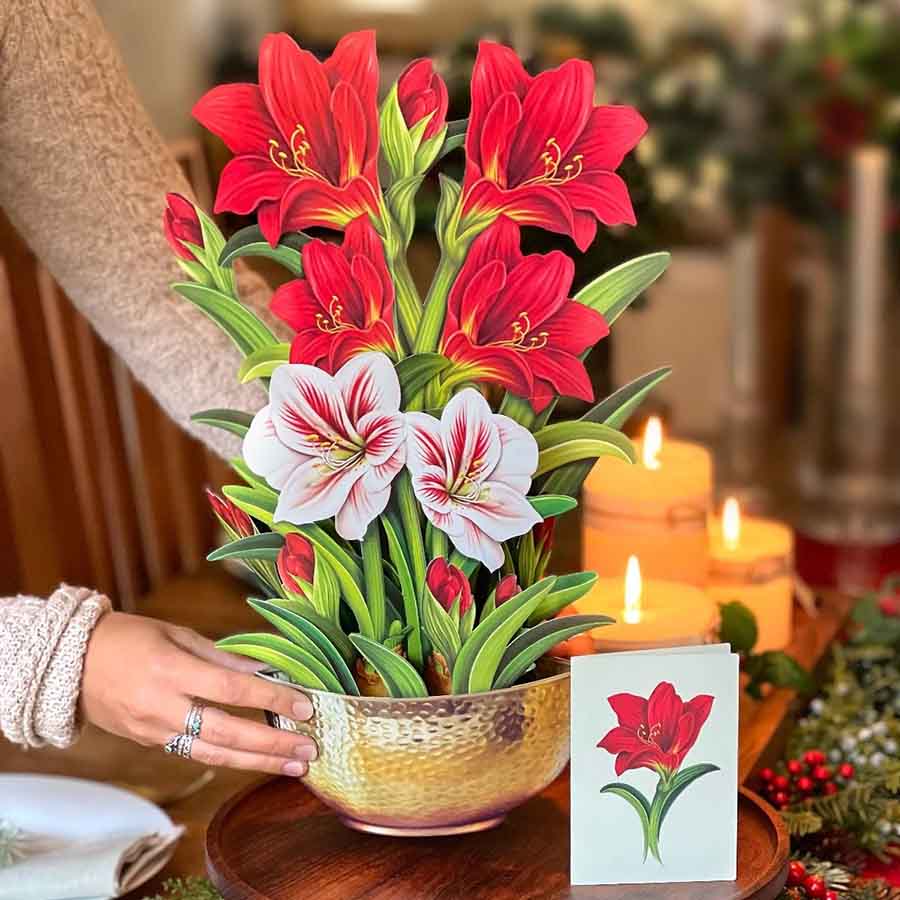 Scarlet Amaryllis Paper Flower Bouquet - Image 4