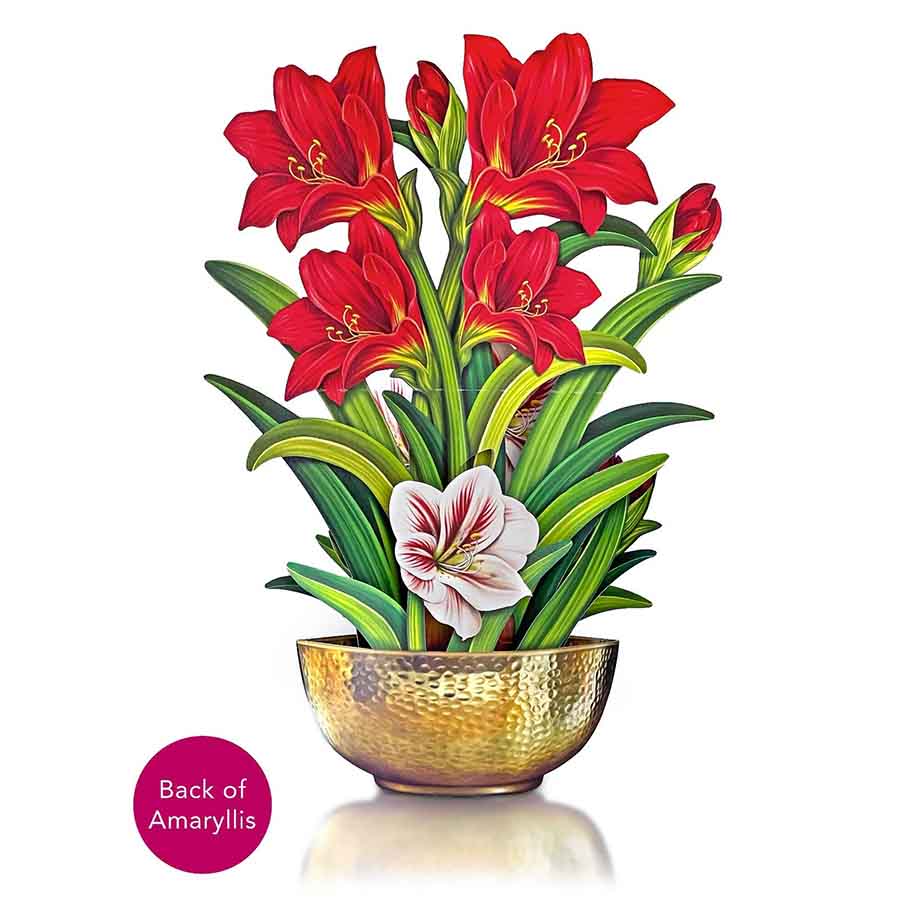 Scarlet Amaryllis Paper Flower Bouquet - Image 5