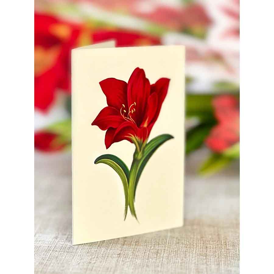 Scarlet Amaryllis Paper Flower Bouquet - Image 6