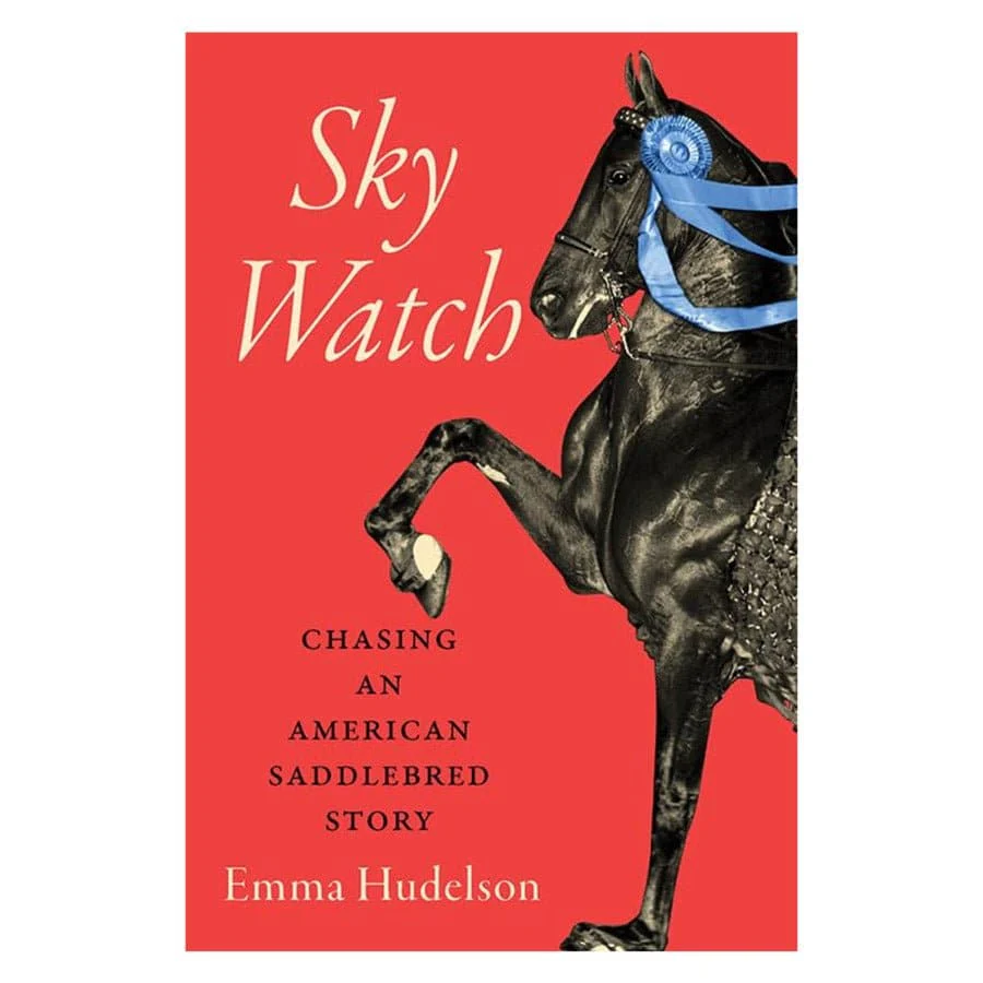 Sky Watch by Emma Hudelson