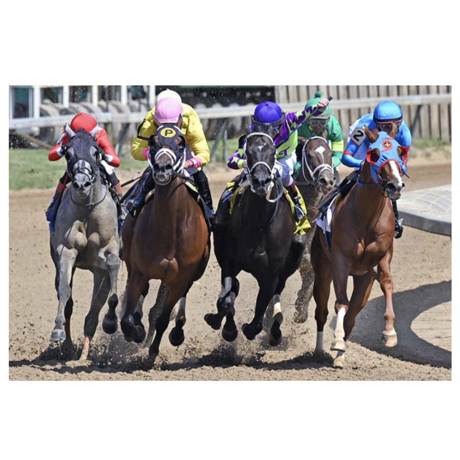 Turf Turn by Dan Dry